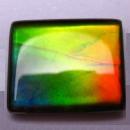 Ammolite
