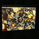 Pallasite