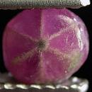 Ruby Trapiche