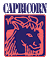 Capricorn